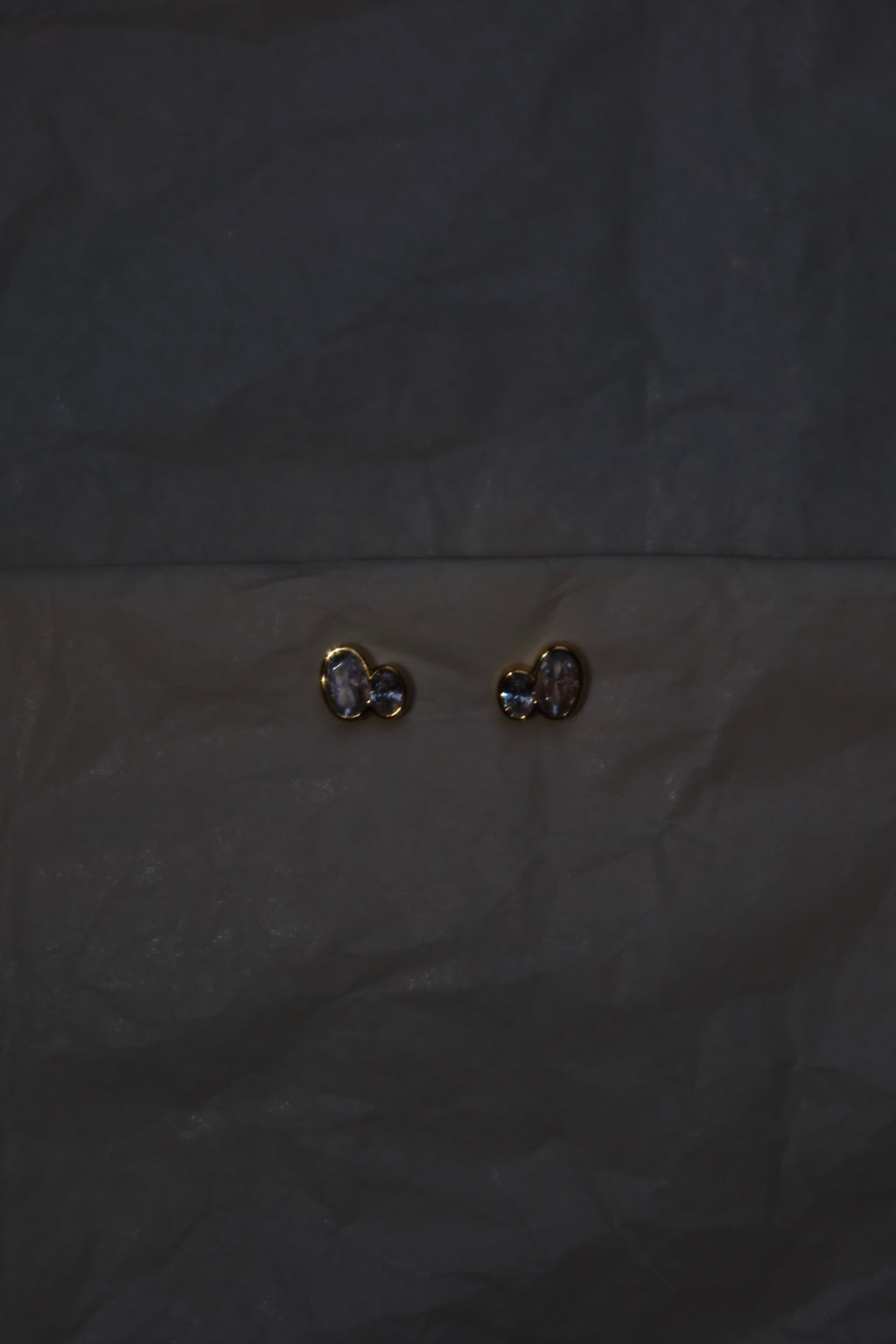 Oval Twin Stud Earrings